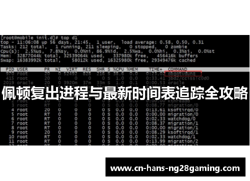 佩顿复出进程与最新时间表追踪全攻略 佩顿复出进程与最新时间表追踪全攻略