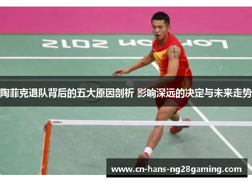 陶菲克退队背后的五大原因剖析 影响深远的决定与未来走势