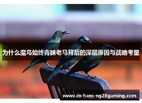 为什么魔鸟始终青睐老马背后的深层原因与战略考量 为什么魔鸟始终青睐老马背后的深层原因与战略考量