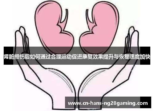 肾脏损伤后如何通过合理运动促进康复效果提升与恢复速度加快
