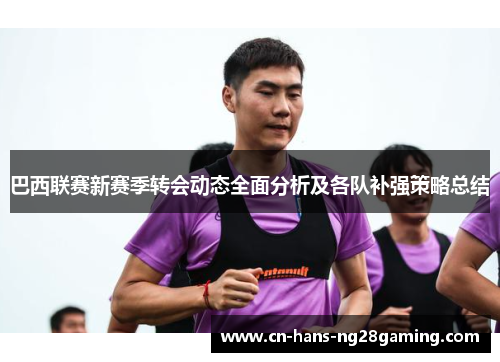 巴西联赛新赛季转会动态全面分析及各队补强策略总结 巴西联赛新赛季转会动态全面分析及各队补强策略总结