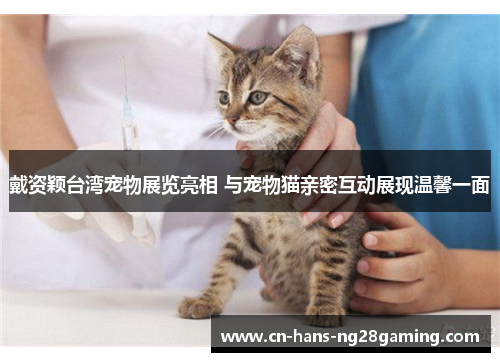 戴资颖台湾宠物展览亮相 与宠物猫亲密互动展现温馨一面