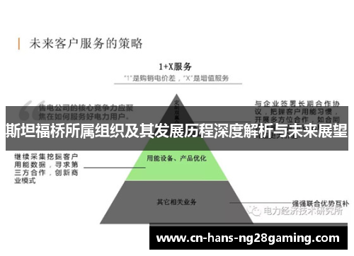 斯坦福桥所属组织及其发展历程深度解析与未来展望