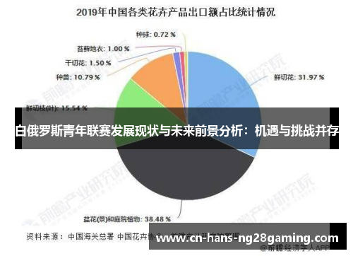 白俄罗斯青年联赛发展现状与未来前景分析：机遇与挑战并存