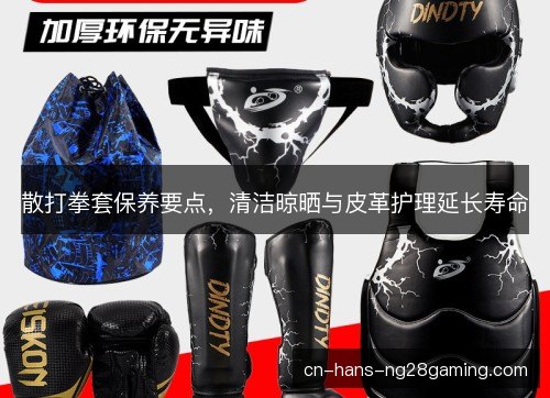 散打拳套保养要点，清洁晾晒与皮革护理延长寿命